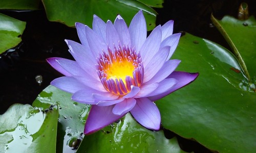 癌症病人复查注意事项-专业癌症复查做哪些检查平台-癌症病人复查注意事项有哪些